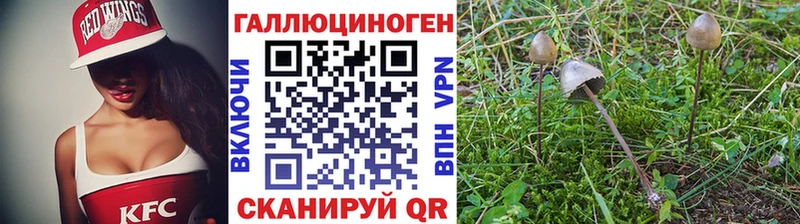 Галлюциногенные грибы Magic Shrooms  KRAKEN ТОР  Лесной 